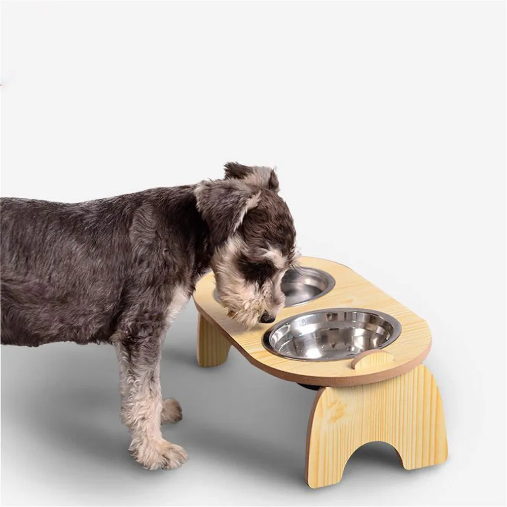 Are Raised Dog Bowls Safe