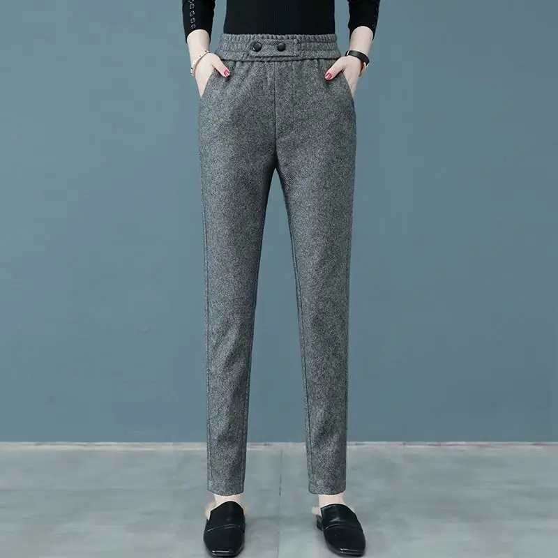Women Woolden Blend Harem Pants Korean Fashion High Waist Autumn Winter Vinatge Trousers All-Match Plus Velvet Casual Pantalones