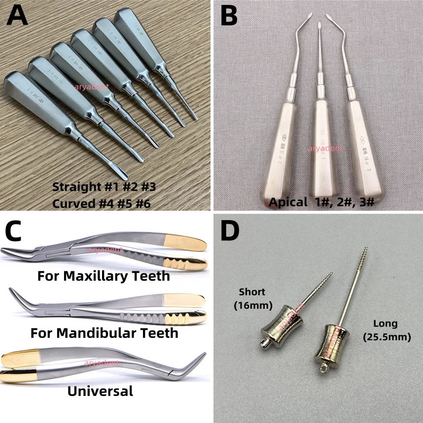 Dental Tooth Extraction Elevator Straight Apical Root Tip Extractor