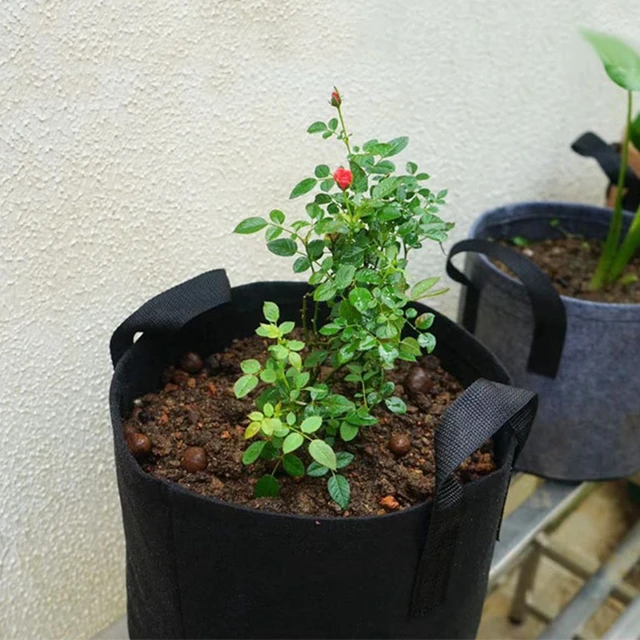 5Pc 3/5/7/10 Gallon Érezhető Táskák Kertészeti Szövet Sárgarépa Termés Edény Zöldség Paradicsom Termesztése Ültetvény Kerti Burgonya Ültetési Edények - Image 3