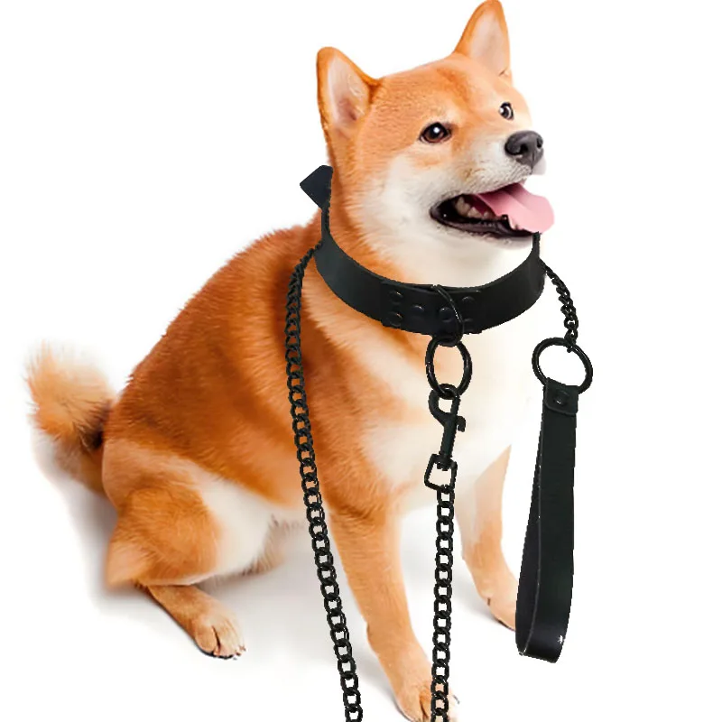Durable Metal Dog Chain Leash 3