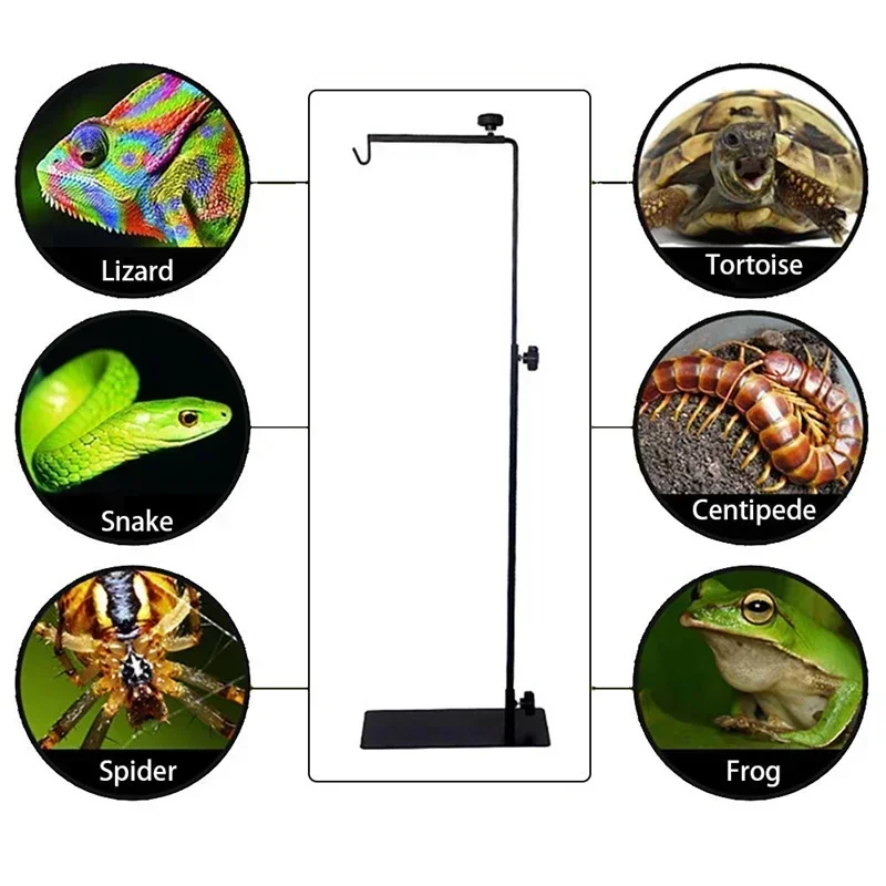 Amphibian Reptile Lampshade Lamp Holder Adjustable Extendable Metal Floor Lamp Holder Portable for Lizards Turtles