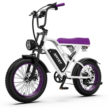 AMYET V9-G60 E-Bike 1