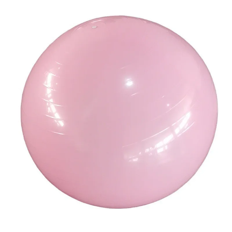 Yoga Ball Exercise Fitness Equipment for Home Gym Pilates Workout Balance Training Weight Loss 55cm yoga ball