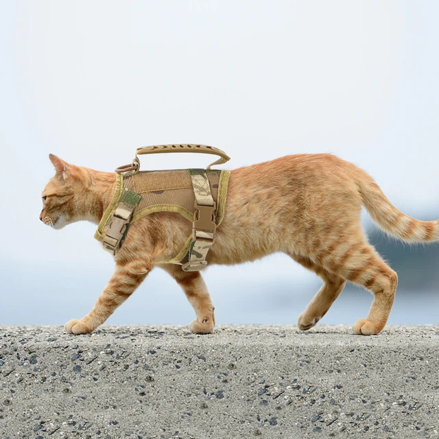 Tactical Cat Harness Puppy Adjustable Kitten Vest For Military Small Dogs Harnesses Working Training Cat Accessories Tactical Cat Harness Puppy Adjustable Kitten Vest For Military Small Dogs Harnesses Working Training Cat Accessories