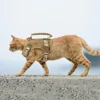 Tactical Cat Harness Leash Puppy Adjustable Kitten Vest For Military Small Dogs Harnesses Working Training Cat Accessories 1