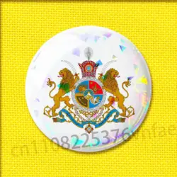 Imperial Coat of Arms of Iran - National Emblem Badge Pin Brooch Ornament - 44X44mm (Z6)