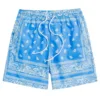 Men's Boho Drawstring Waist Shorts Paisley Print Summer Beach Shorts Fashion Shorts Men Plus Size Workout Gym Short Pants 1
