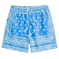 Men's Boho Drawstring Waist Shorts Paisley Print Summer Beach Shorts Fashion Shorts Men Plus Size Workout Gym Short Pants 1