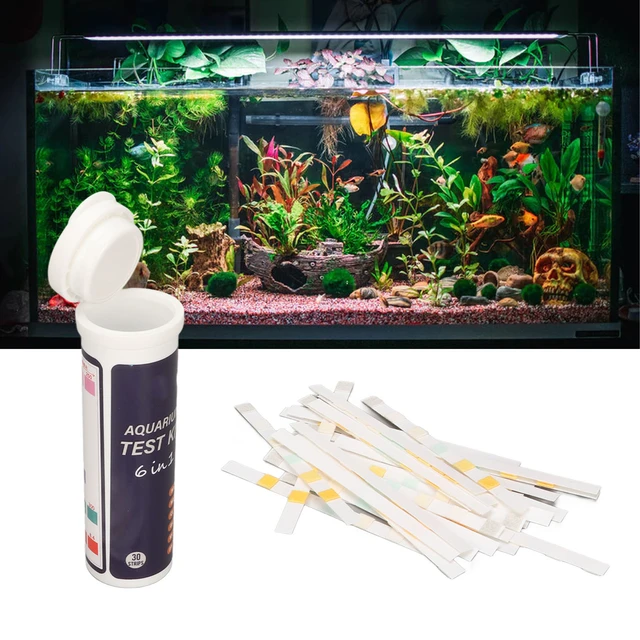 Aquarium Tools Kit, 5 in 1 Stainless Steel Long Fish Tank Scraper Aquarium  Kits -Black - Black