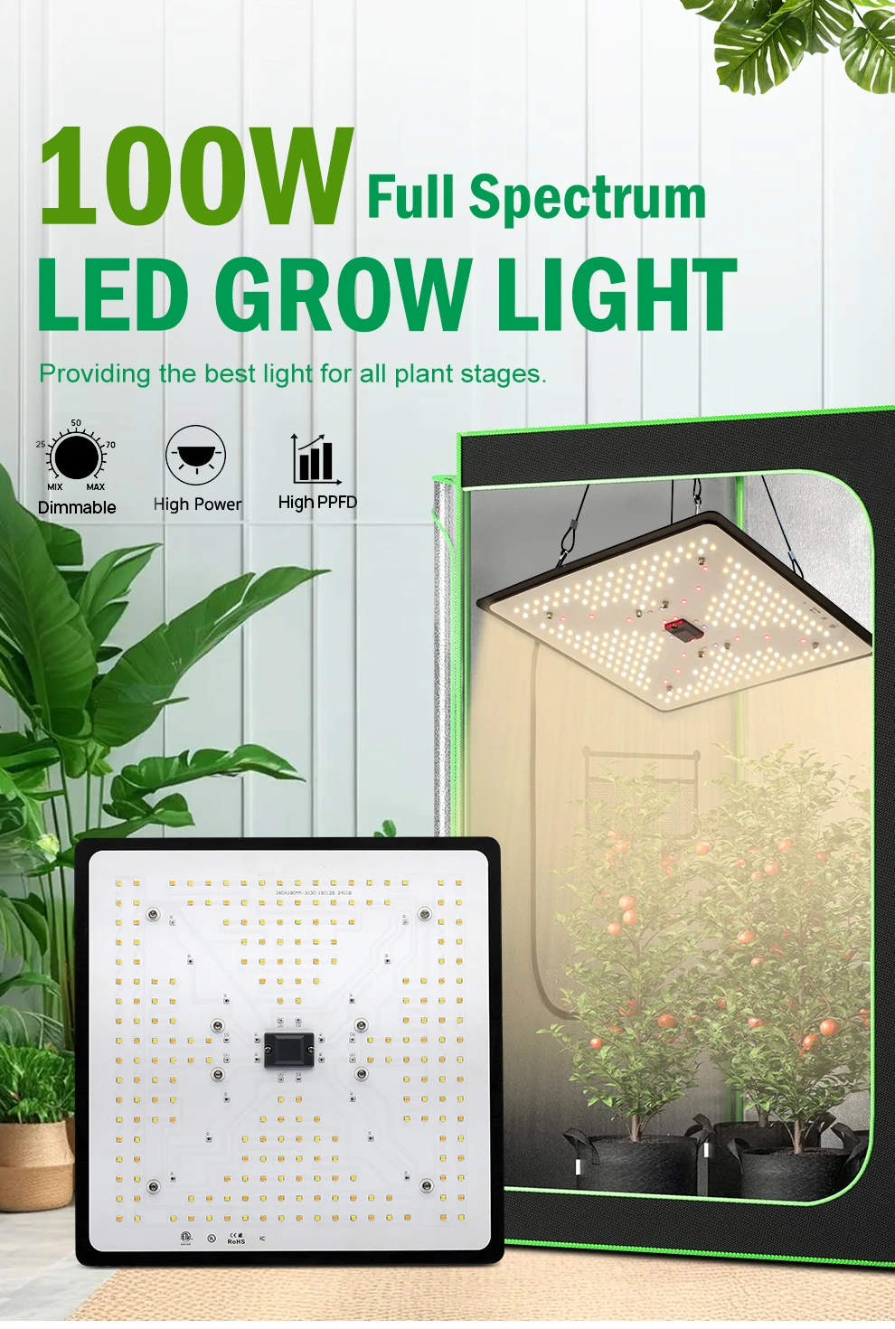 100w Voll spektrum LED wachsen Licht lm301h wachsende Lampe sonnen ähnliches Quantum für Zimmer pflanzen, die Gemüse blumen wachsen Zelt säen – Detail 1
