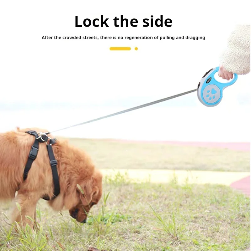 Dog leash