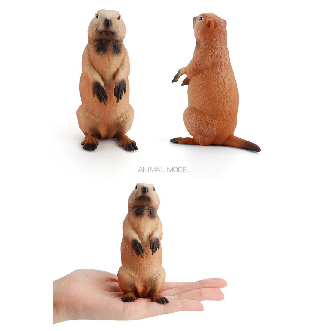 시뮬레이션 숲 야생 동물 솔리드 모델 Groundhog 데스크탑 장식품 조기 교육인지 장난감 어린이 선물