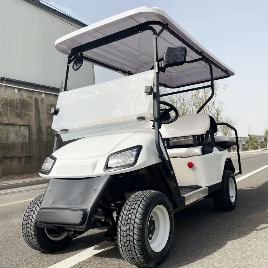 Electric Golf Cart Hot Sale 2 Seat Club VIP Modern Fashion Adult Electric Car Free Color Golf Scooter