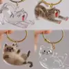 Cat Hair Storage Box Hanging Cat Keychain Pendant Backpack Cat Bag Hanging Decor Pet Hair Storage Cute Keychain Pet Souvenirs 6
