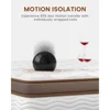 Premium Queen Mattress 14 Inch - Hybrid Mattress with Advanced Pocket Spring Technology - Pain Relief and Motion Isolation 5
