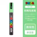 PC-5M Grassgreen