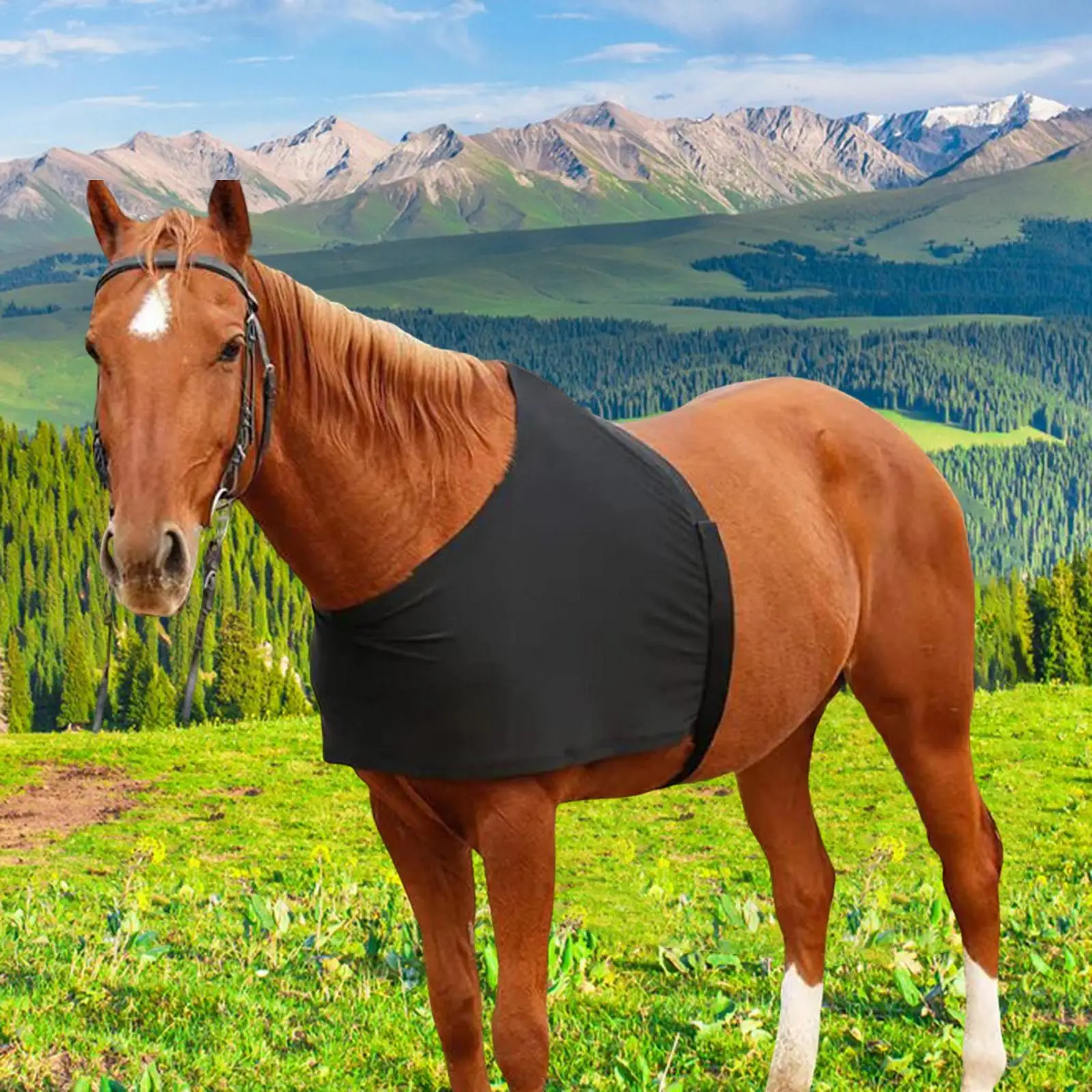 Horse Shoulder Guard Lightweight Horse Chest Saver Protector Cover Ventilated Guard Breathable Belly Equipment