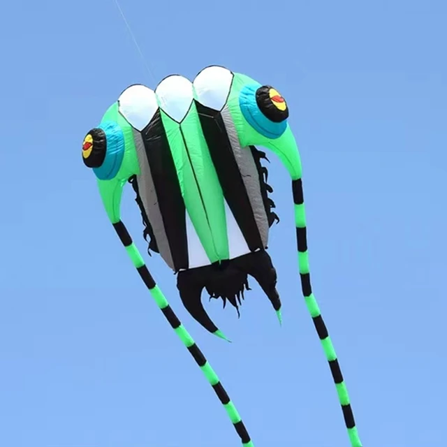 Kite Large Soft Kite Fly Trilobite Kites for Adults Ripstop Nylon Kite Reel  Jellyfish Octopus Kite Eagle Kite Factory (Color : 65sqm Red Kite) :  : Sports & Outdoors