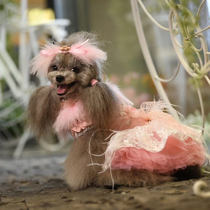 夏のお嬢さん♡麻のドレス ∞TuTu∞ 犬服 ハンドメイド 【公式通販】