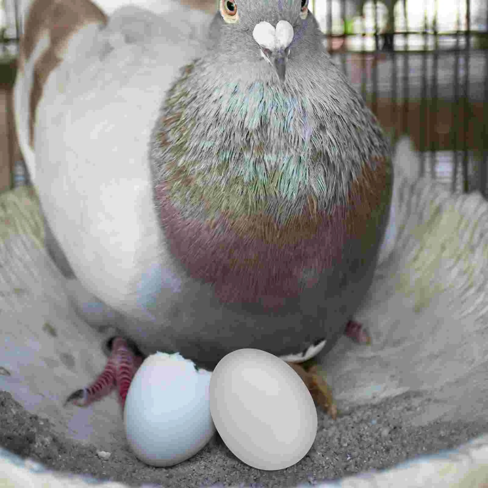 20 Pcs Fake Eggs Soothing Pigeons and Raising Supplies Nest Bowl Plastic Quail Cartons Prop