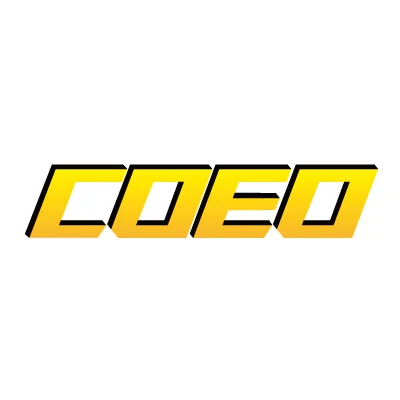COEO Auto Parts Store