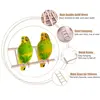 New Wooden Ladder Swing Scratcher Climbing Ladder Hamsters Parrot Toys Pet Supplies 5