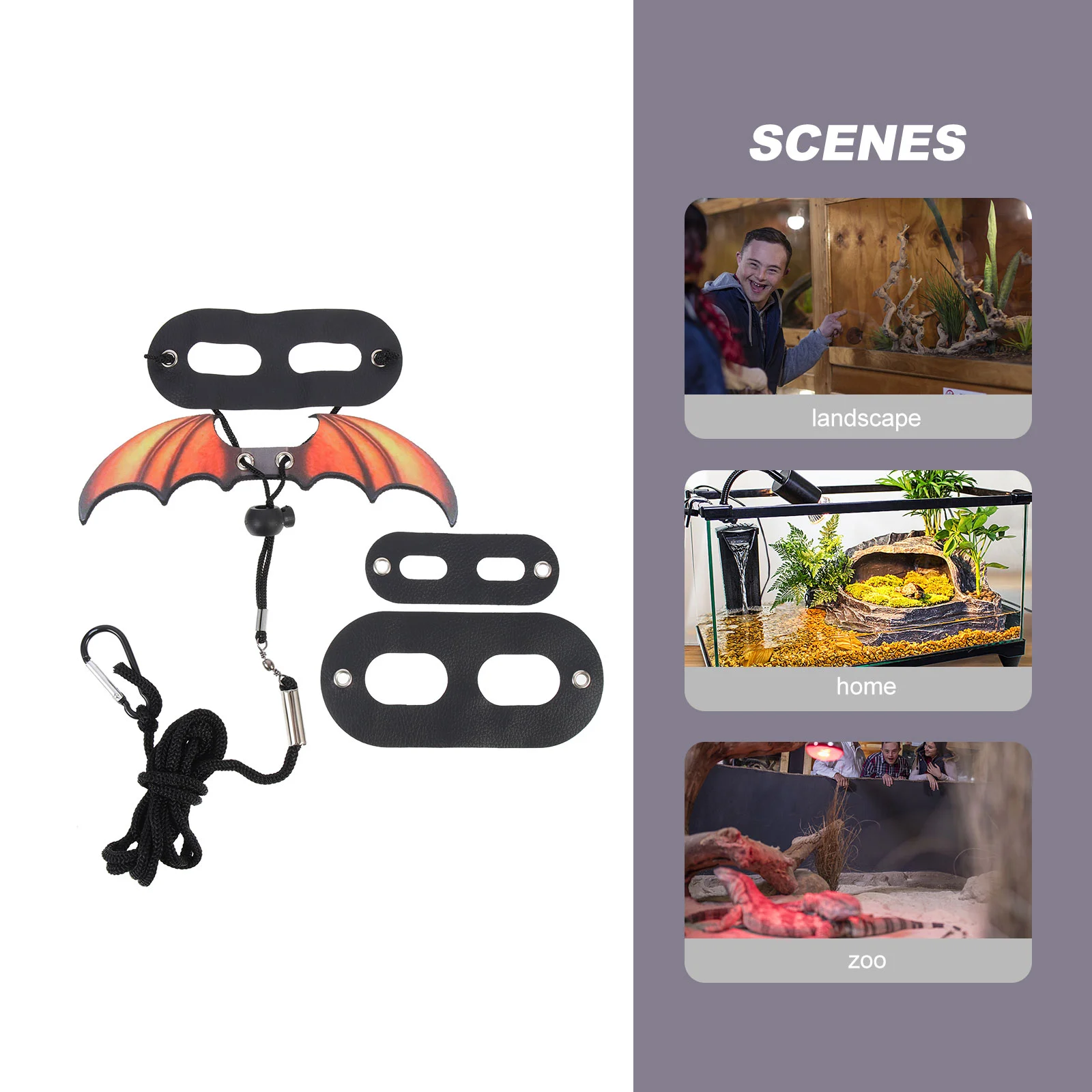 Lizard Leash Outdoor Reptile Animal Gecko Supply The Small Pet Traction Rope Supplies