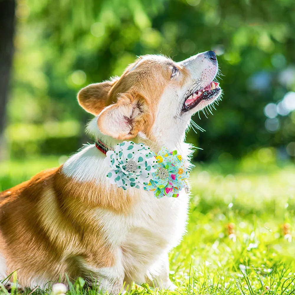 10PCS New Flower Pets Collar Accessories Dog Bowtie Big Flower-Collar Movable Fashion Dogs Bow Ties Collar Pet Supplies 2
