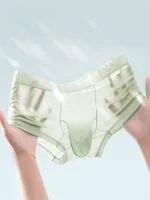 Boxers sans couture en soie glacée pour hommes, ultra-fins, respirants, avec design nez d'éléphant, transparents et confortables 5