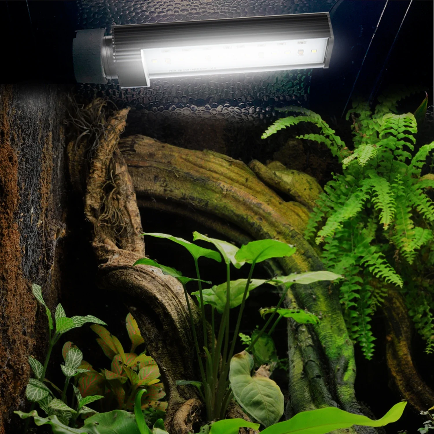 US EU E26 E27 6500k NO UVC White Light Terrarium LED Reptile Lighting UVB LED Lamp For Reptiles