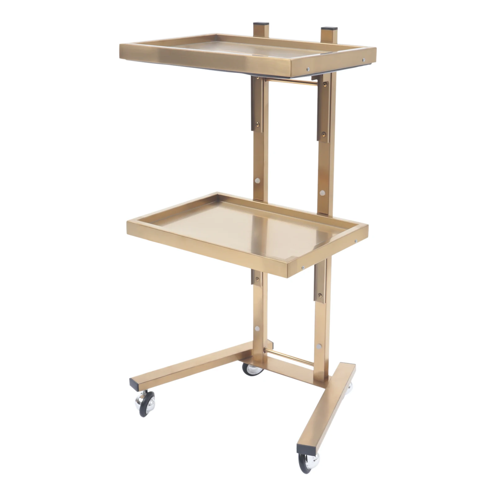 2 Floors Stainless Steel Salon Trolley Folding Cart Storage Holder with 4 Wheels Load 44lbs
