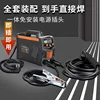 315 Electric 220V Household Small Portable Fully Automatic Dual-purpose 380V All-copper Double Voltage Welding Machine 1