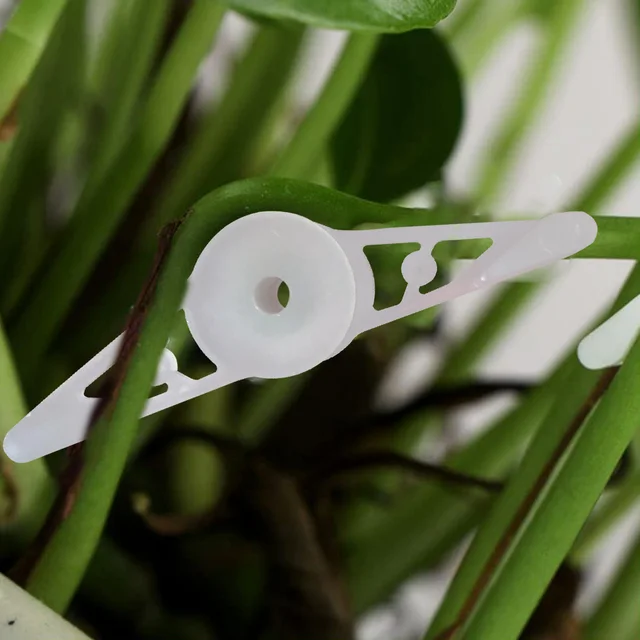 60Db 360 Fokos Állítható Növényi Edző Klipek Fák Fióktelepek Hajlító Bonsai Óvodai Állomány Alacsony Stressz Edzésvezérlés - Image 5