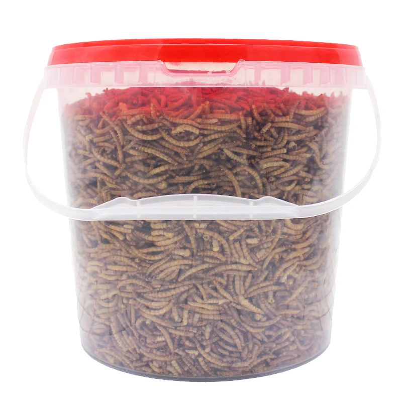 250g High-Protein Mealworms for Wild Bird ,Chicken, Ducks,Fish,Reptile, Tortoise , Amphibian,Lizard