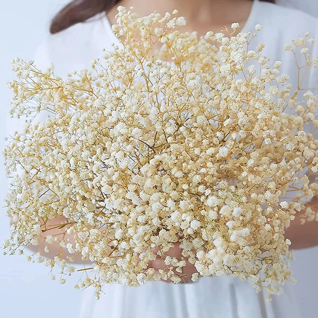 Baby Breath Bouquet Decoration  Artificial Babys Breath Flowers - Natural  Dried - Aliexpress