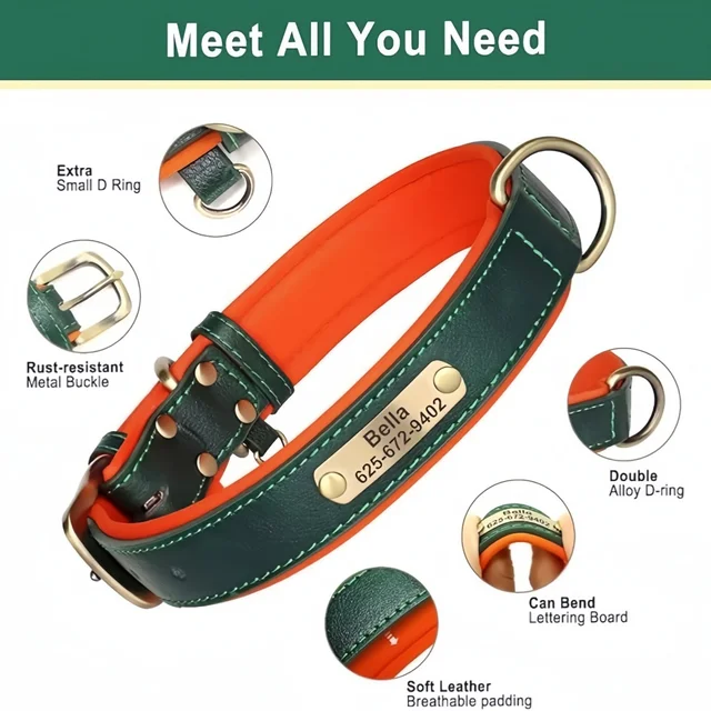 Nameplate Dog Collar 3