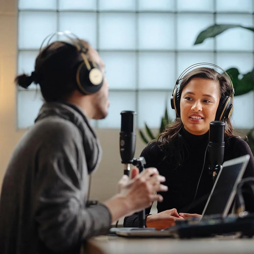 P120 Professional Wired Condenser Microphone, for Vocal Recording Studio Streaming Media Home Studio Live Voice Broadcasting