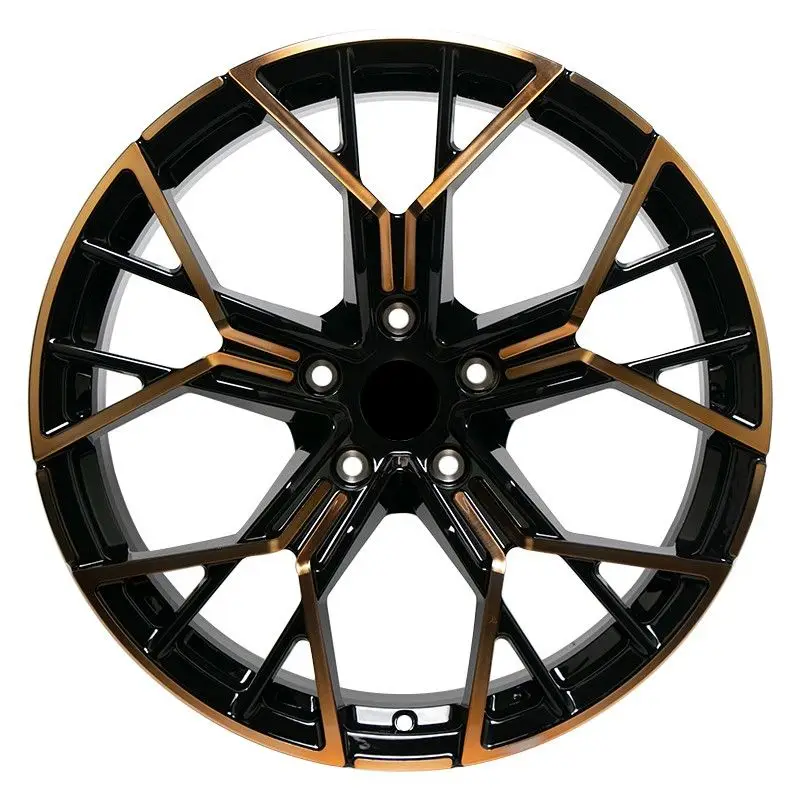 

European Type Car Wheel 18 19 20 Inch Alloy Rims 5 Holes 10 Spoke Forged Rims