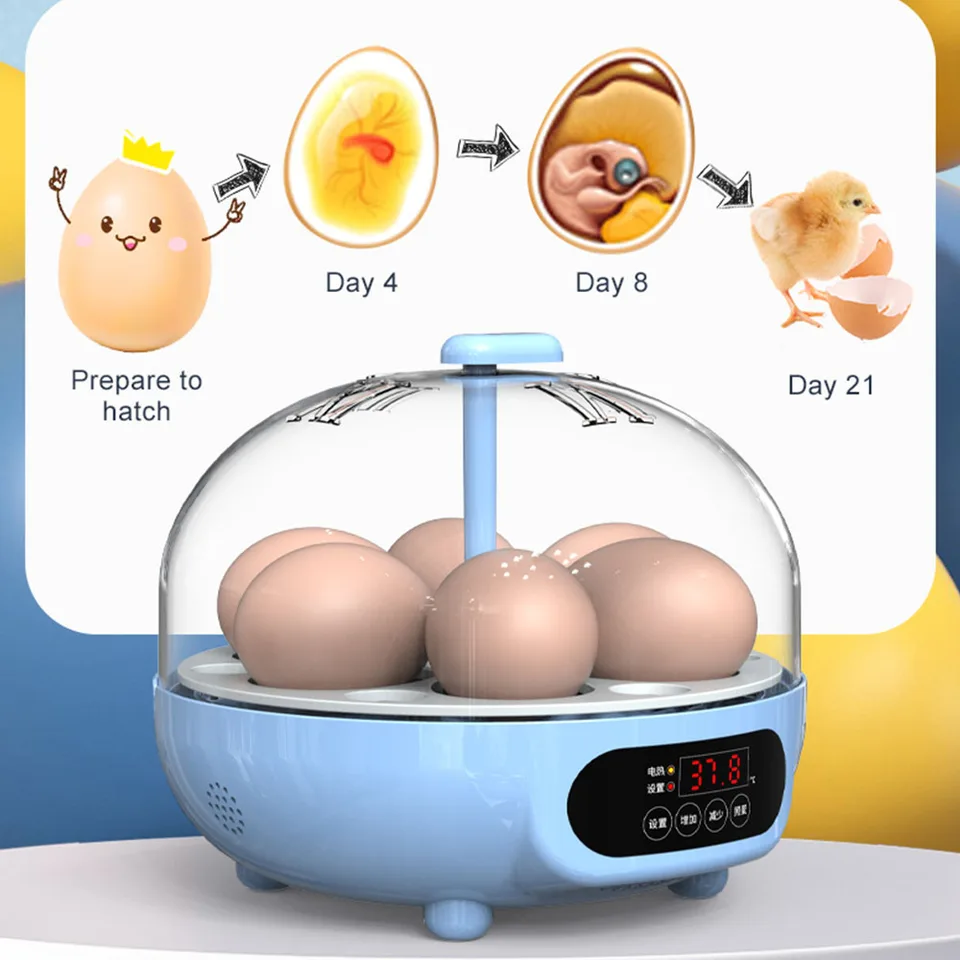 Incubators For Hatching Eggs Poultry Hatcher, Egg Incubator