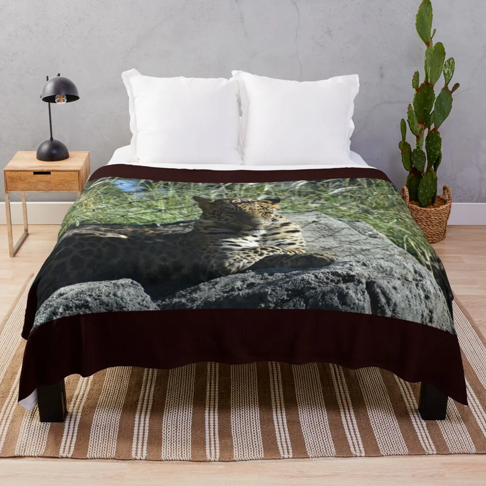 

African Leopard Throw Blanket Luxury Blanket Luxury Brand Blanket