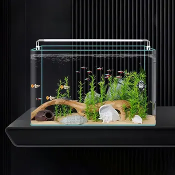 Modern Desktop Aquarium 1