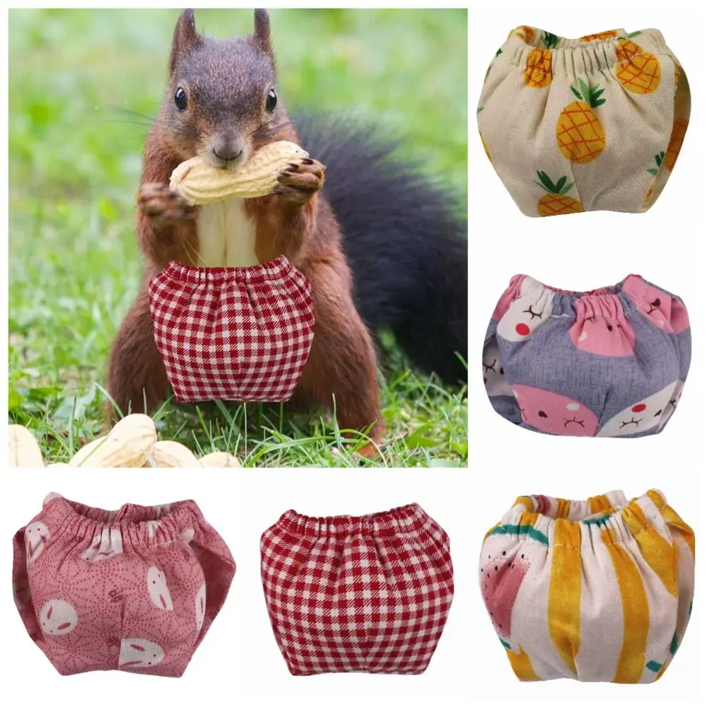 Absorbent Squirrel Diapers Flexible Closure Potty Training Pet Training Pants Leak-Proof Washable Squirrel Underwear Groundhogs