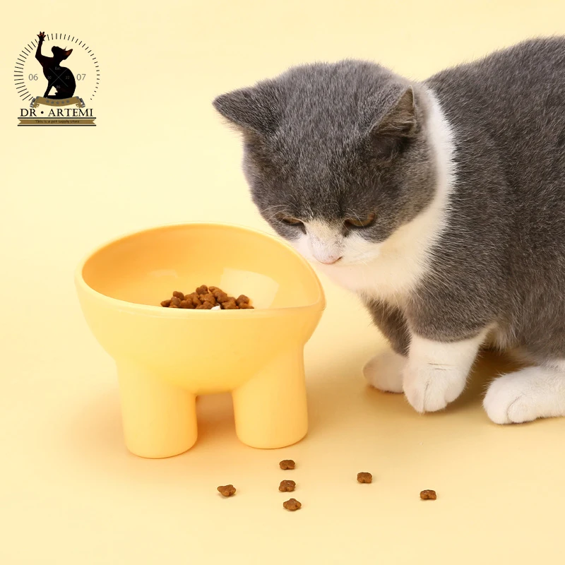 Title 4, High Foot Dog Cat Bowl For Small Dog Neck Prote...