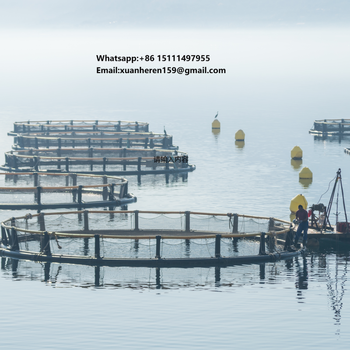 Simulasi Mitigasi Hakisan Pantai Hibrid