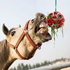 1Pcs Horse Treat Ball Hay Feeder Toy Ball Hanging Feeding Toy For Horse Horse Goat Sheep Relieve Stress Horse Treat Ball 1