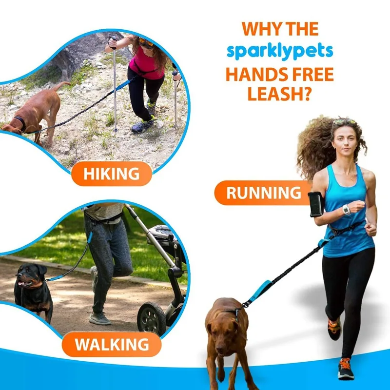 Reflective Double Elastic Retractable Dog Leash - Wholesale Pet Supplies