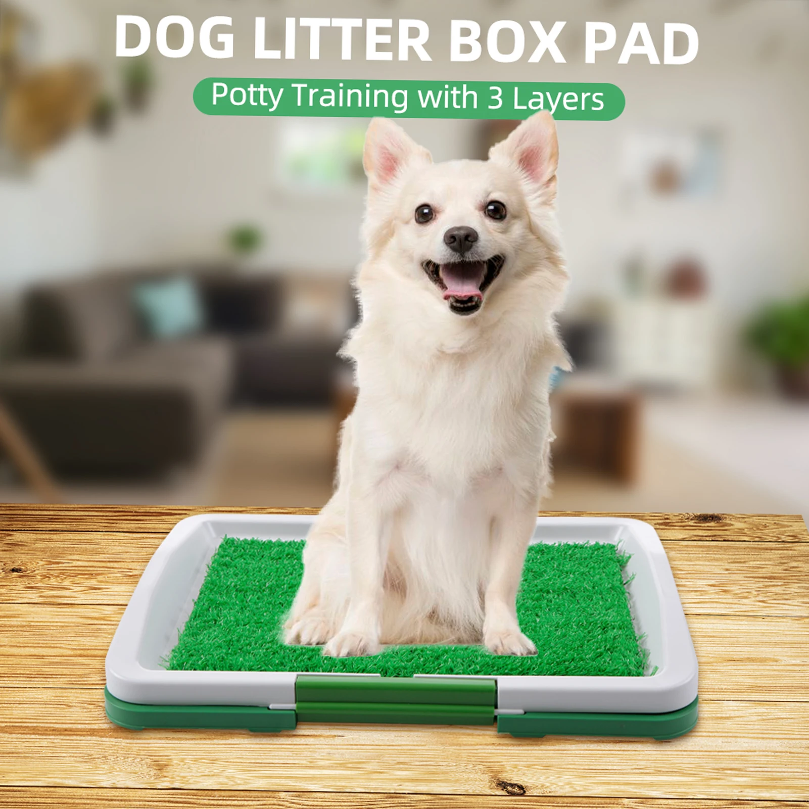 How Do You Potty Train A Puppy Indoors And Outdoors