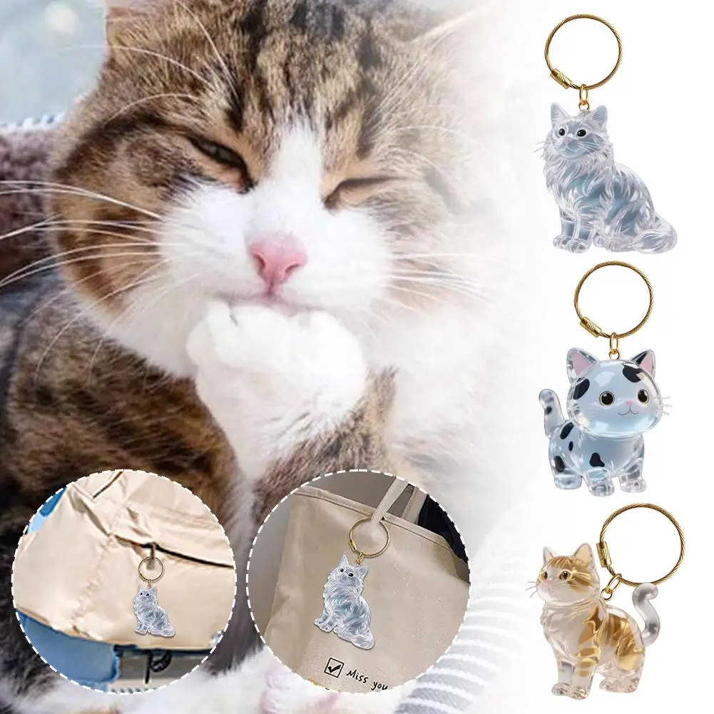 Pet Hair Keepsake Keychain 4
