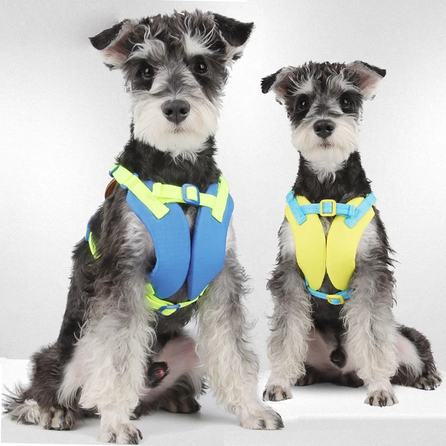 New Pet Dog Harness Leash Set